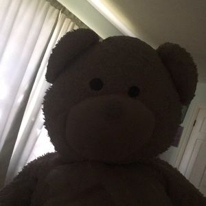 Meet your Posher, Allie